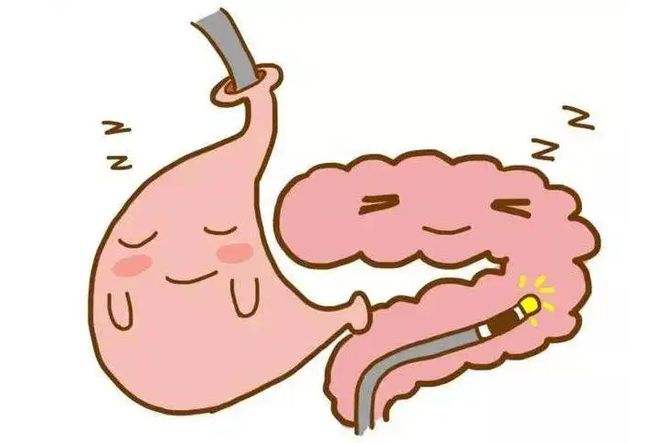 肠胃炎的饮食注意